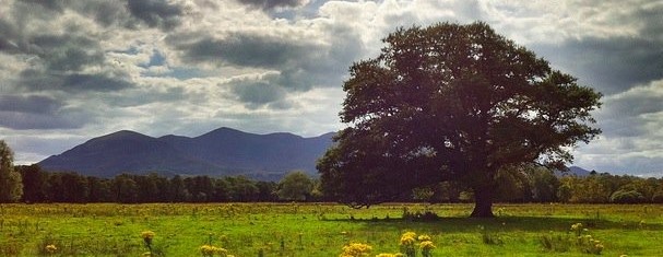 A Beginner’s Guide to Hiking: Everything You Need For Your First Hike!