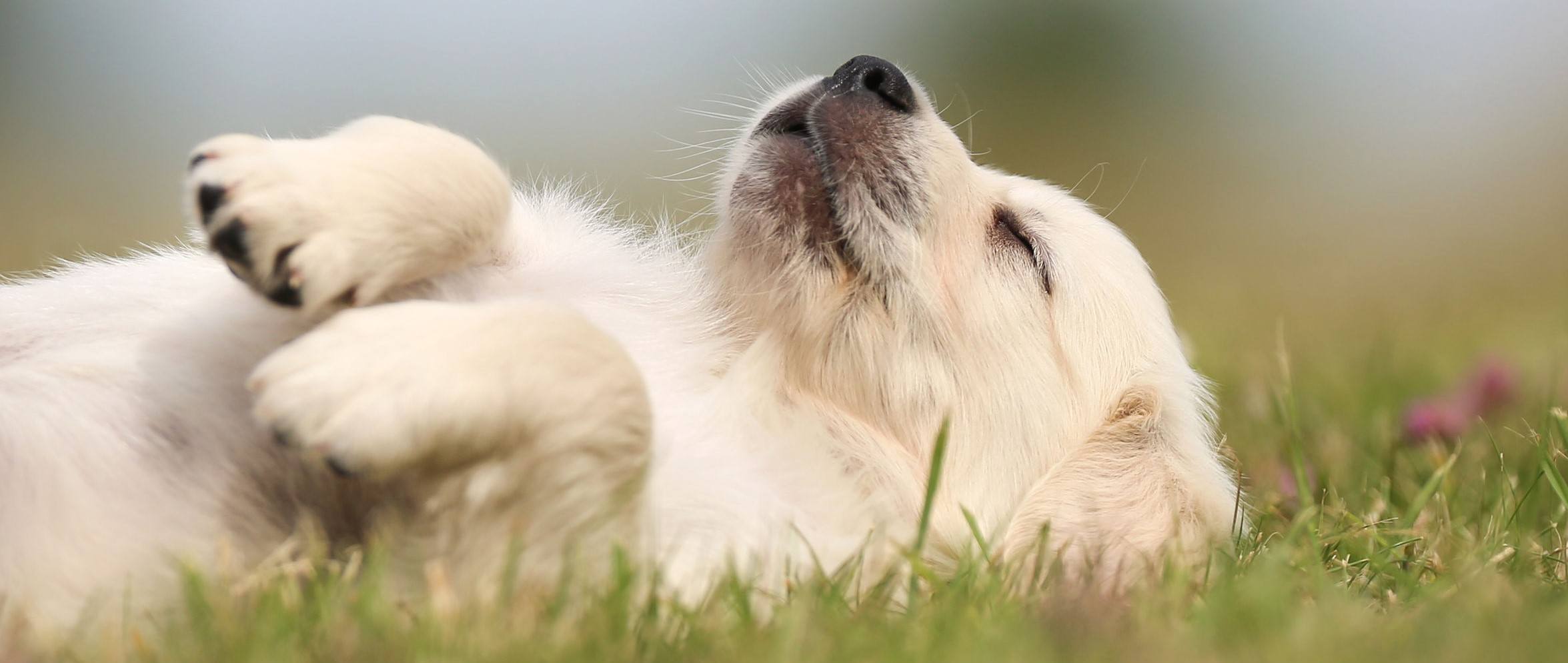 Active Recovery Ultimate Guide: What Should I Do on Rest Days?